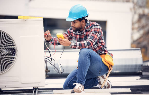Best Electric Panel Repair  in Roscoe, IL