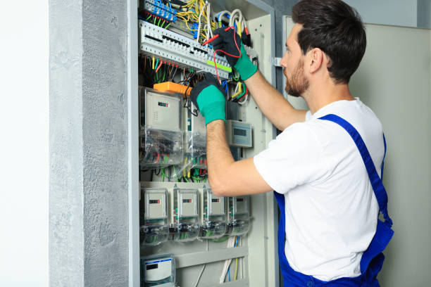 Best Generator Installation Services  in Roscoe, IL